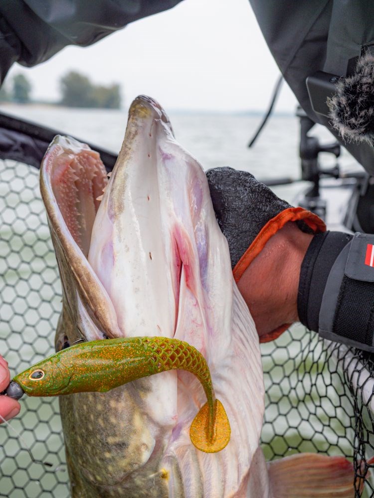 Berkley Gumová Nástraha Powerbait Cullshad Lime Chartreuse (2)